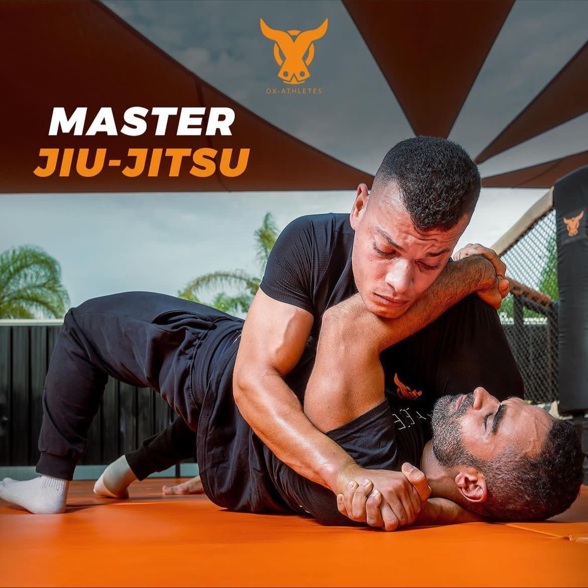  Brazilian Jiu-Jitsu